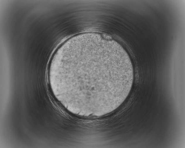 X0000103320892200810060952