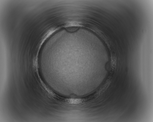 X0000103320893200810060952
