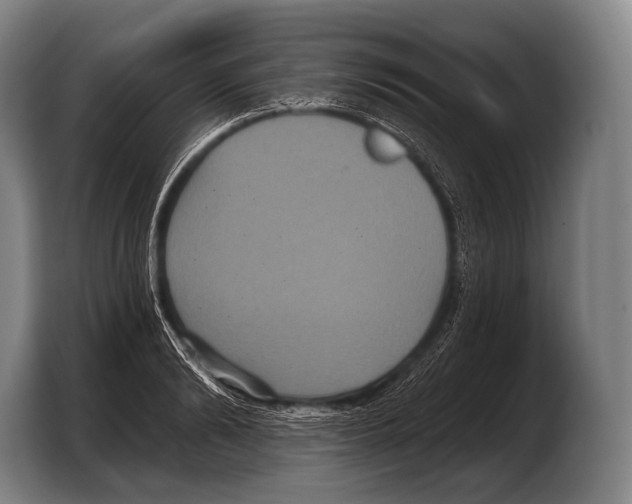 X0000103320894200810060952