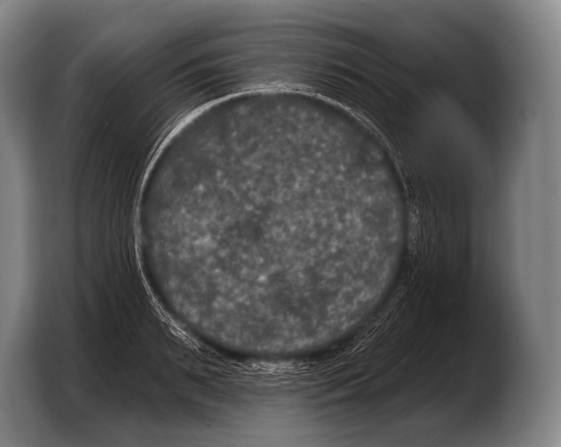 X0000103320895200810060952