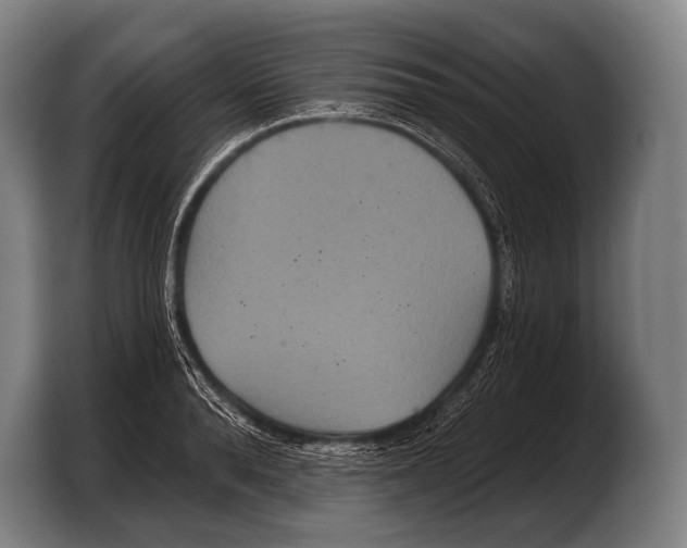 X0000103320896200810060952