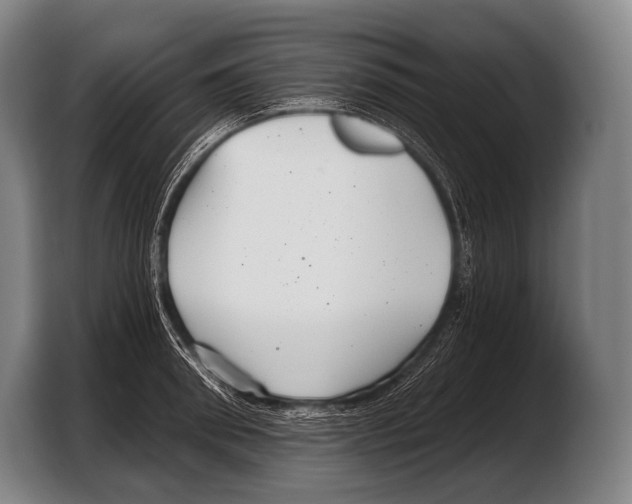 X0000103320898200810060952