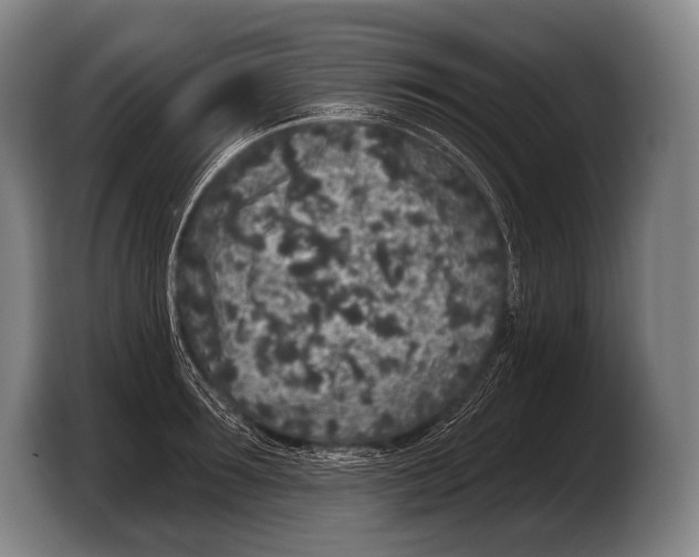 X0000103320899200810060952
