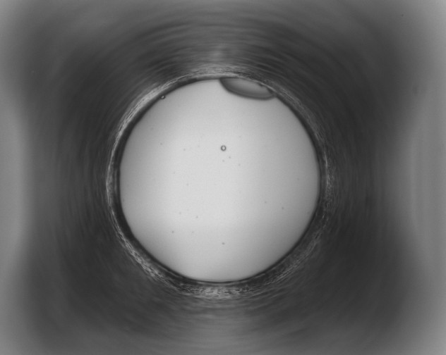 X0000103320901200810060952