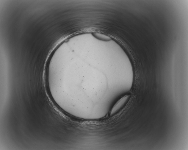 X0000103320902200810060952