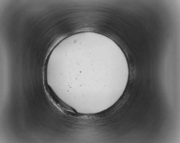 X0000103320906200810060952