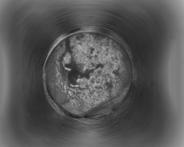 X0000103320907200810060952