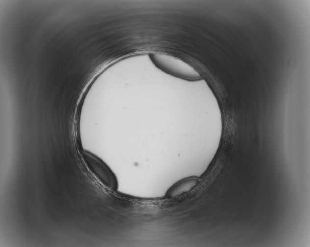X0000103320908200810060952