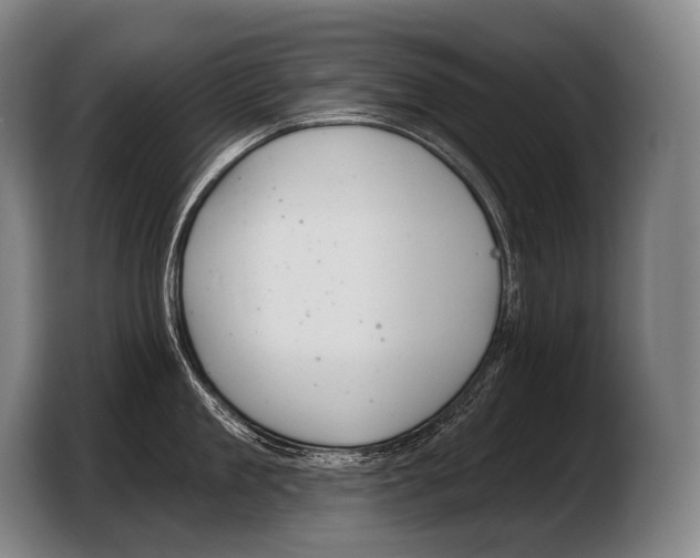 X0000103320909200810060952