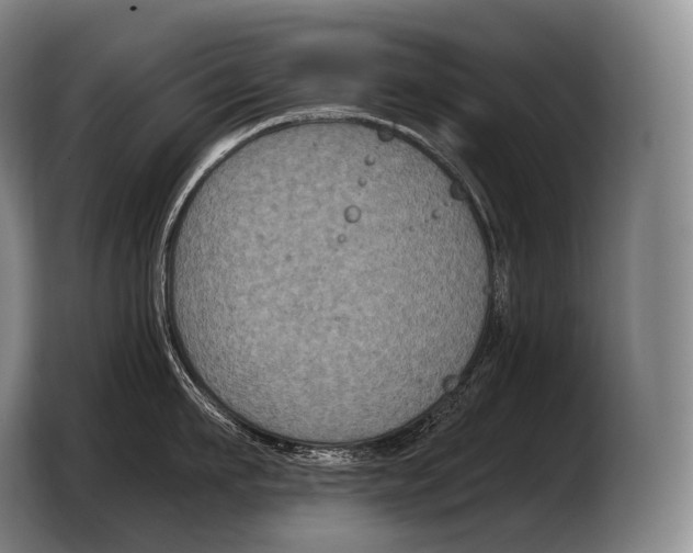 X0000103320911200810060952