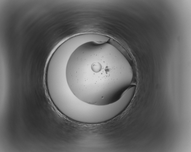 X0000103320912200810060952