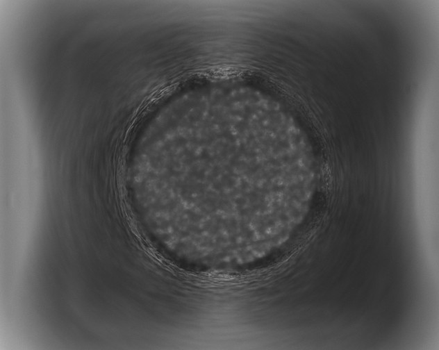 X0000103320913200810060951