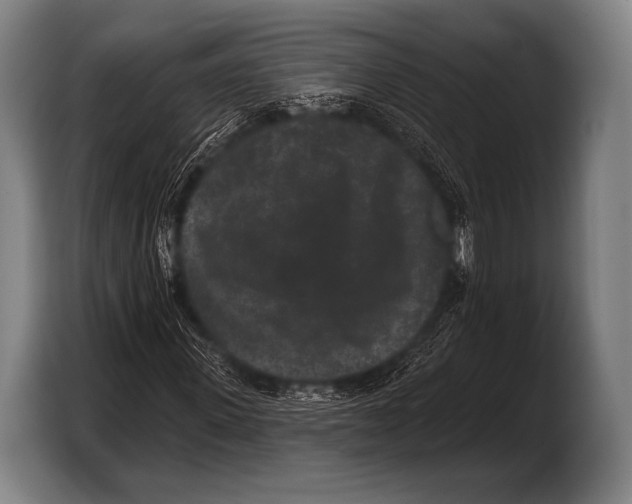 X0000103320915200810060951