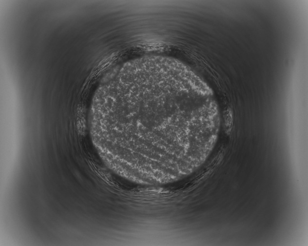 X0000103320916200810060951
