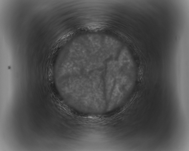 X0000103320917200810060951
