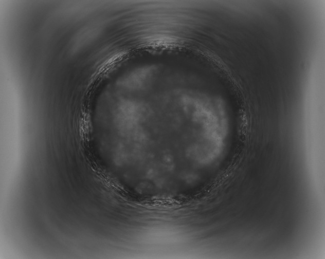 X0000103320918200810060951