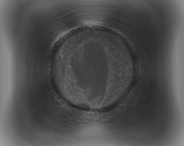X0000103320919200810060951