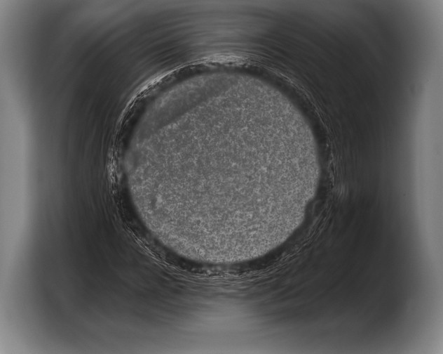 X0000103320920200810060951