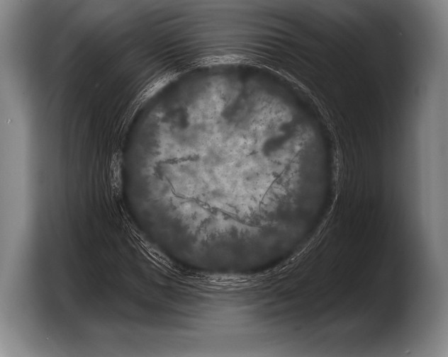 X0000103320921200810060951