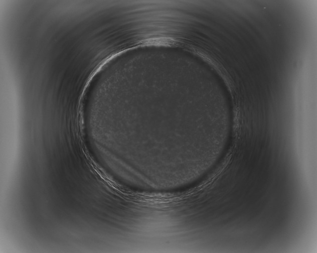 X0000103320923200810060951