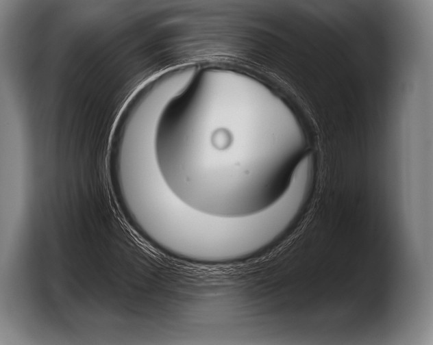 X0000103320924200810060951