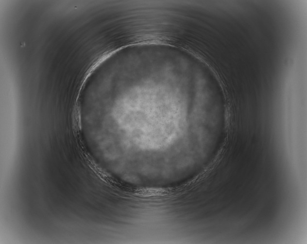 X0000103320925200810060952