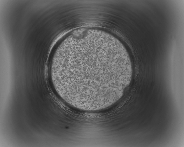 X0000103320928200810060952