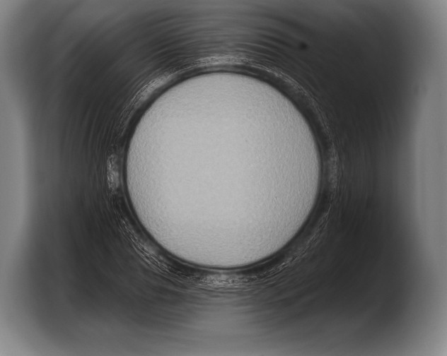 X0000103320929200810060952
