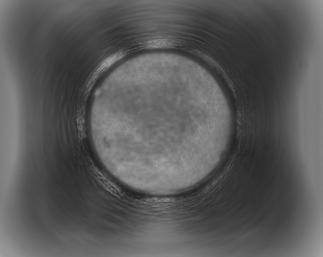X0000103320930200810060952