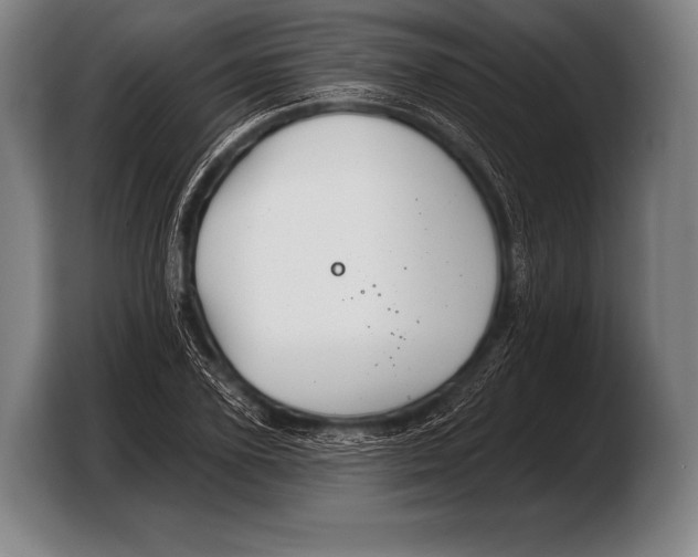 X0000103320931200810060952
