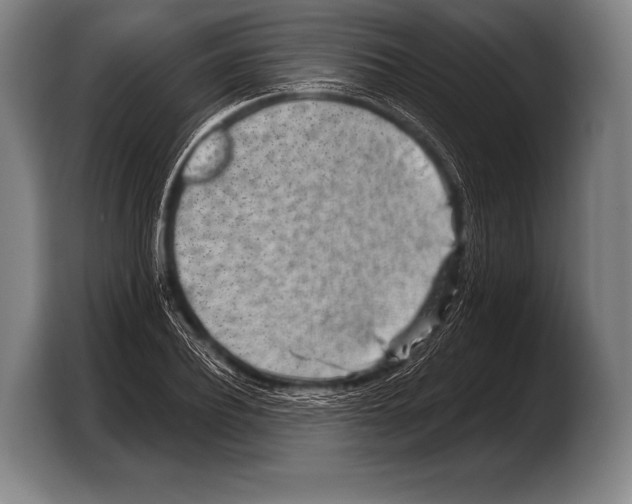 X0000103320932200810060952