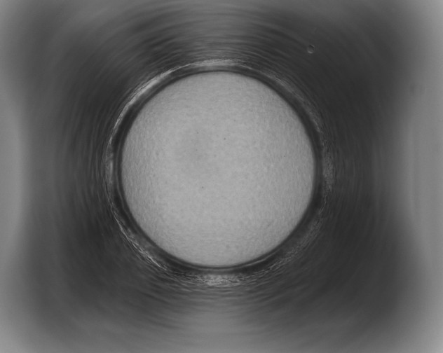 X0000103320933200810060952