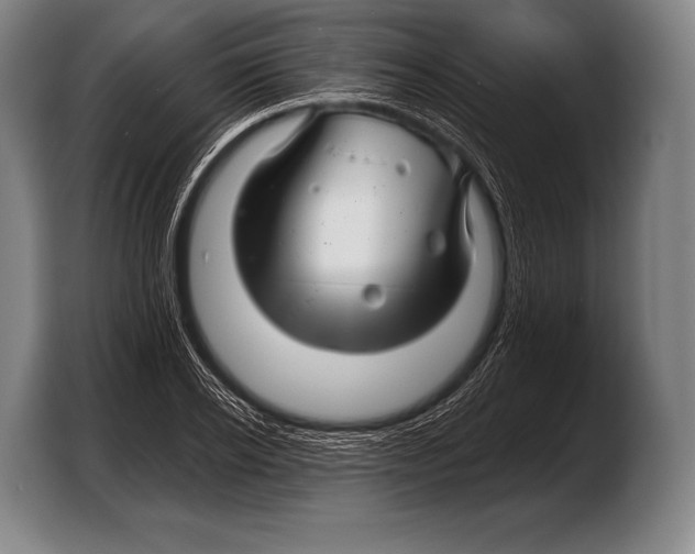 X0000103320934200810060952