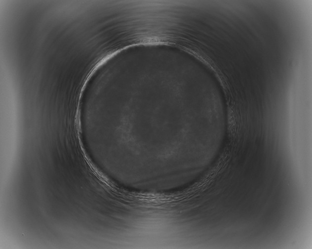 X0000103320935200810060952