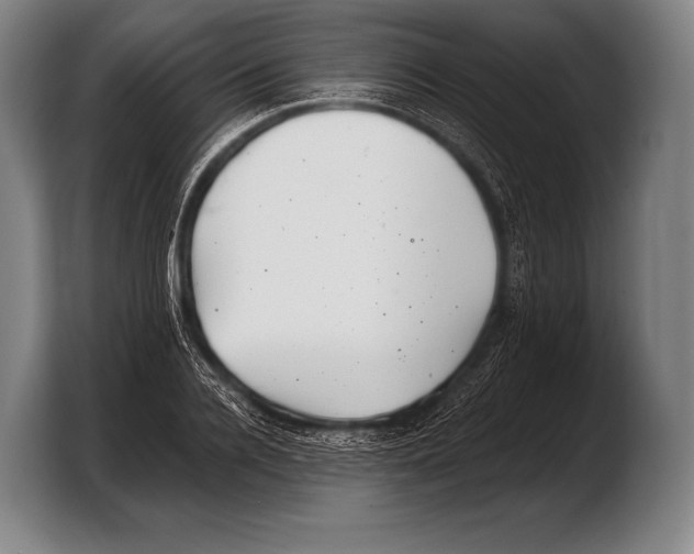 X0000103320936200810060952