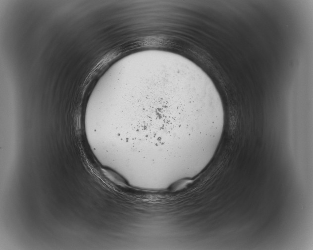 X0000103320938200810060952