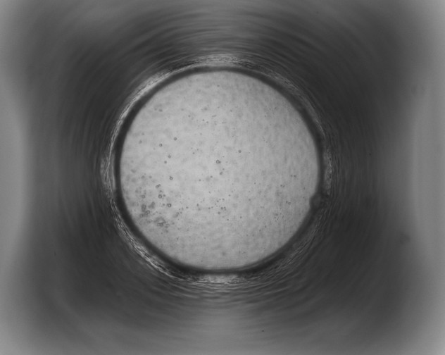 X0000103320939200810060952