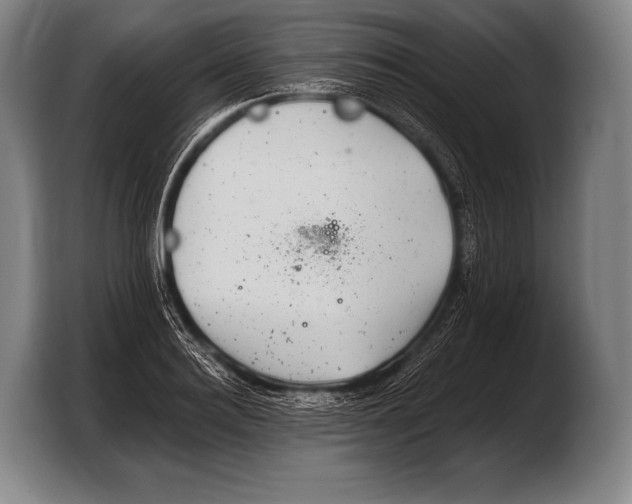 X0000103320940200810060952