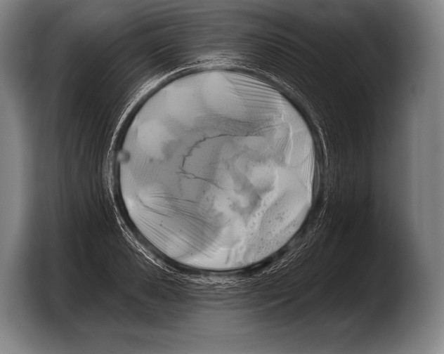 X0000103320941200810060952