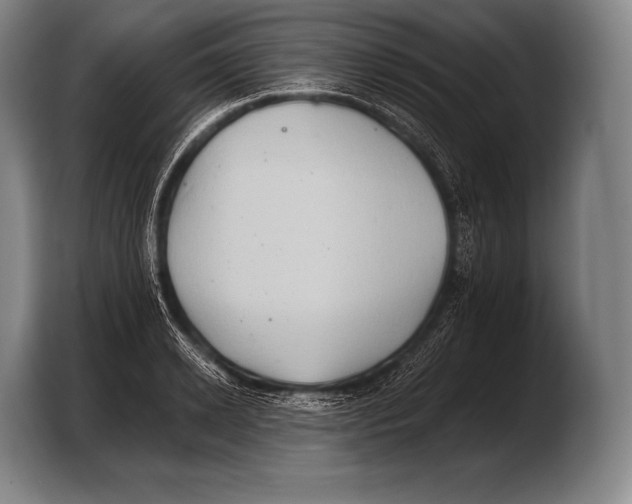 X0000103320942200810060952