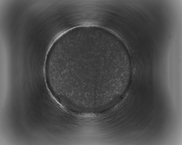 X0000103320943200810060952