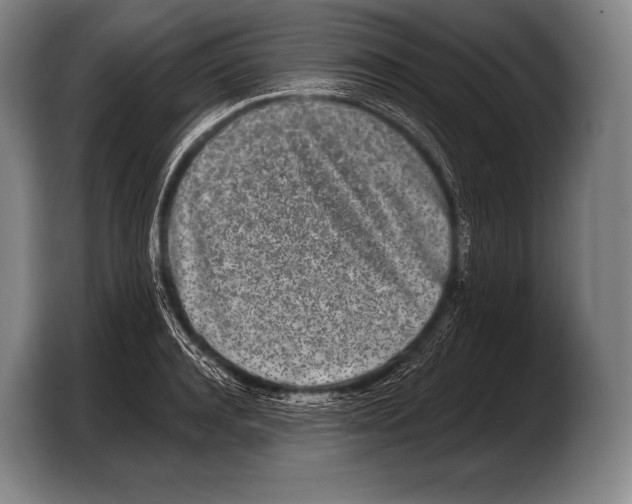 X0000103320944200810060952