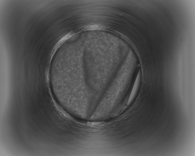 X0000103320946200810060952