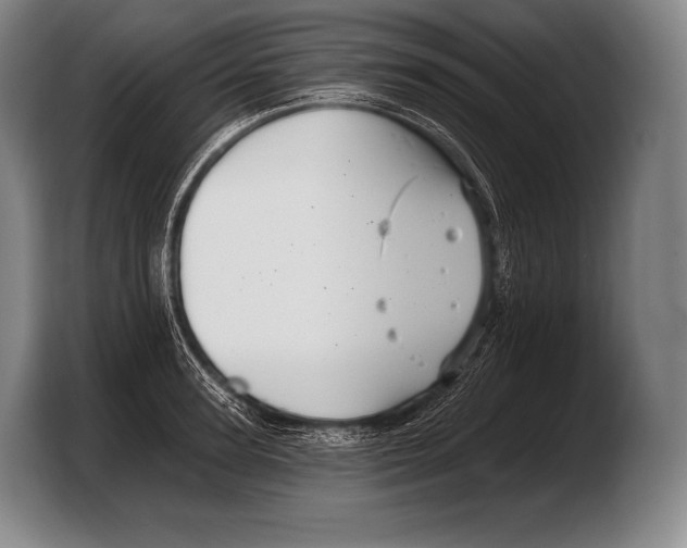 X0000103320947200810060952