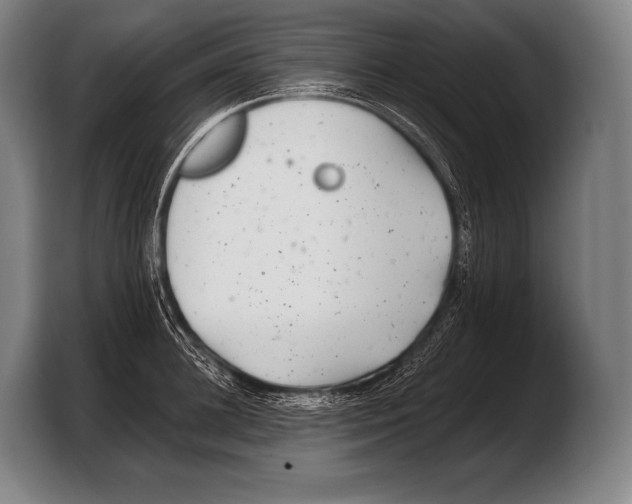 X0000103320948200810060952