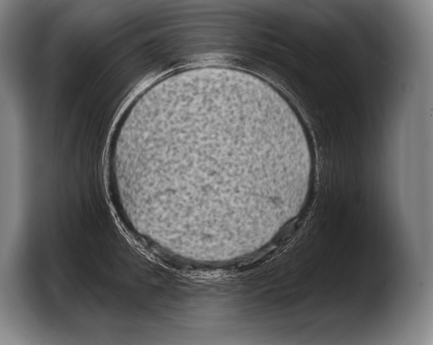 X0000103320949200810060952