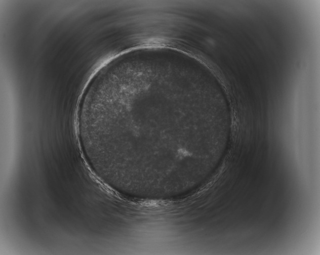 X0000103320950200810060952