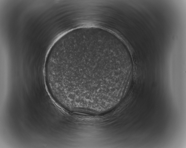 X0000103320951200810060952