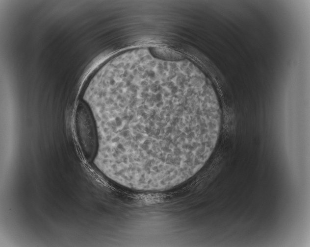 X0000103320952200810060952