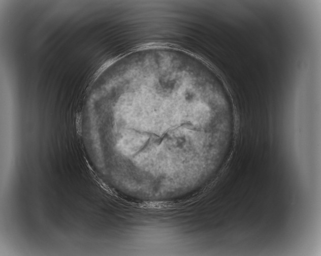 X0000103320953200810060952